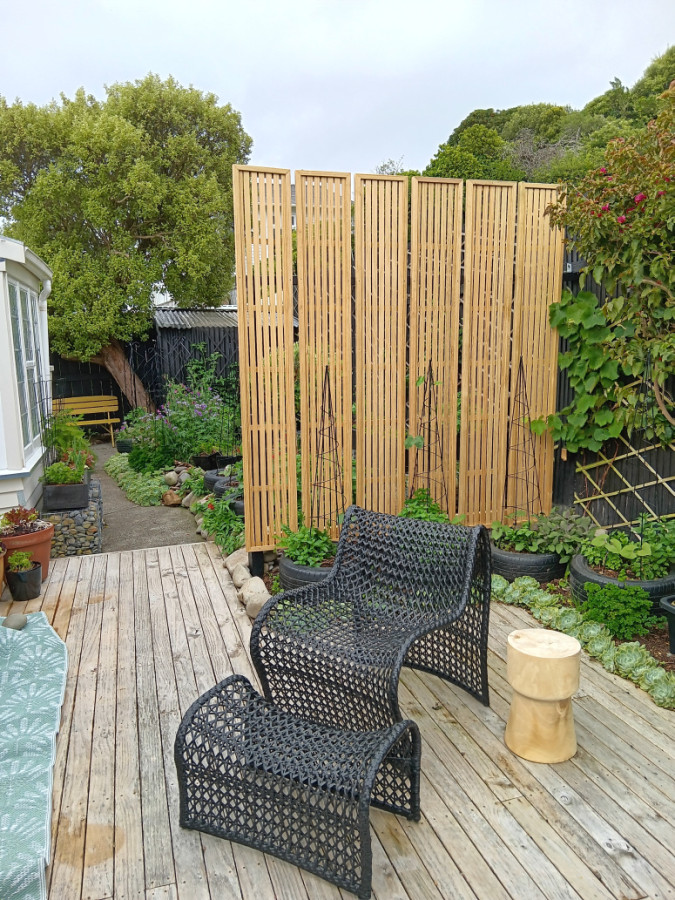 After trellis installed