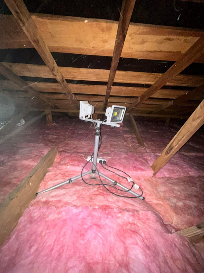 Pink Batts Ceiling