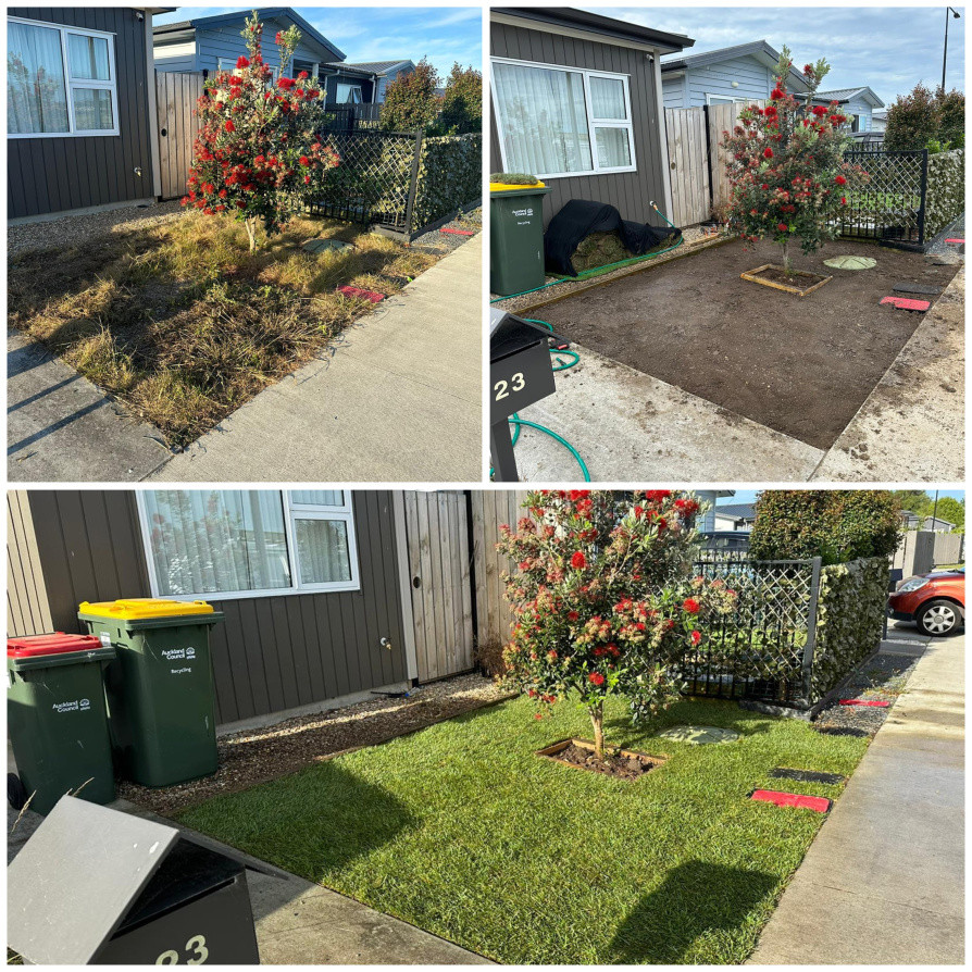 NATURAL LAWN INSTALLED