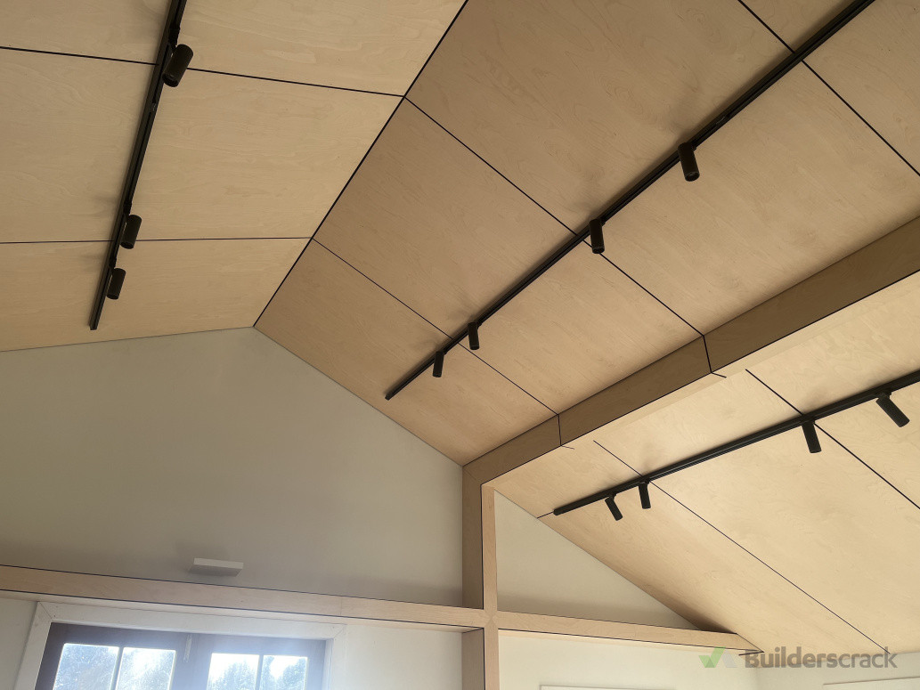 Negative Detailed Birch with Track Lighting