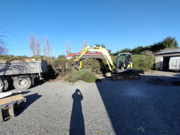 Hedge, tree removal for new fence installation