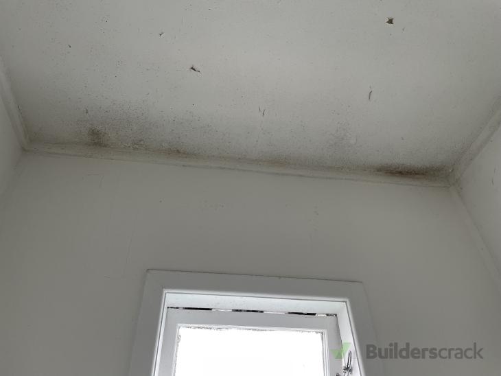 mould-report-fix-cause-and-remove-existing-mould-935109