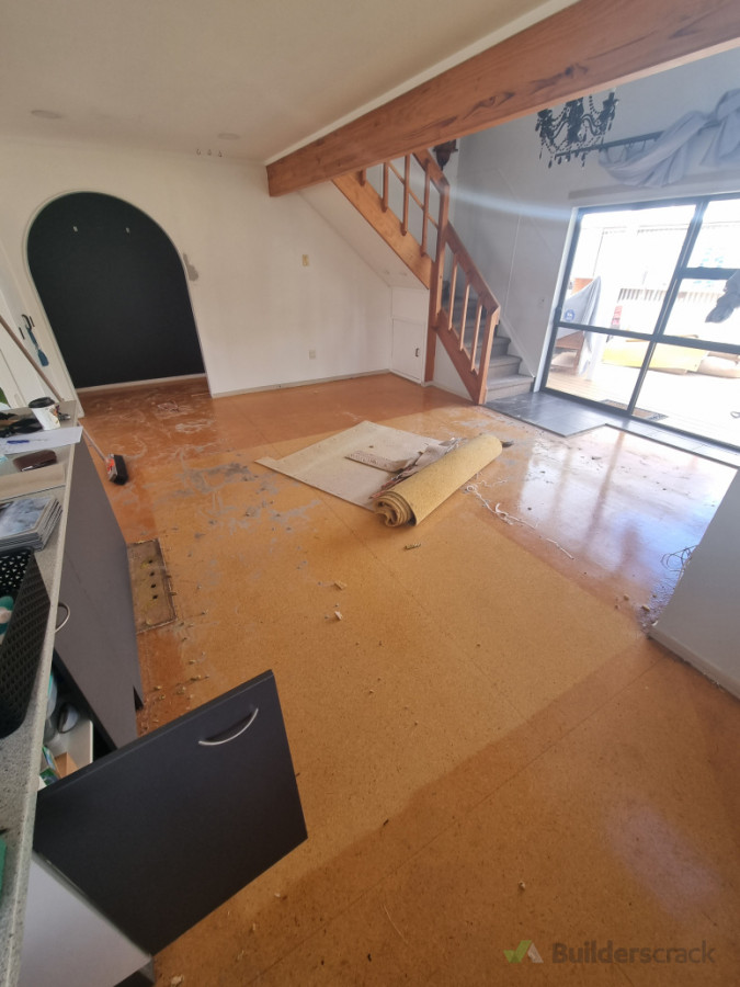 Removal of Carpet