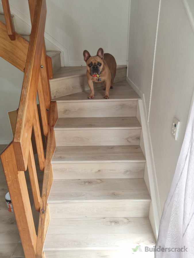 I think he approves 😀