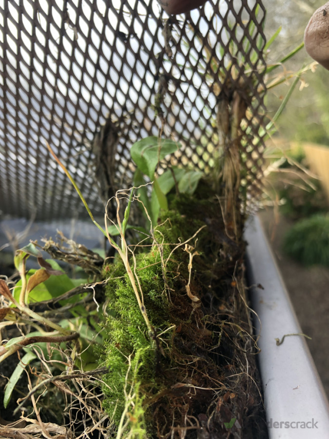 waste of money  let us clean  your gutter annually