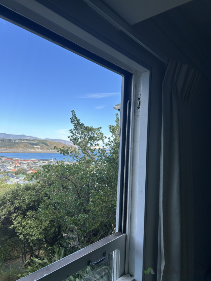 Sash cord replacement and brush seal