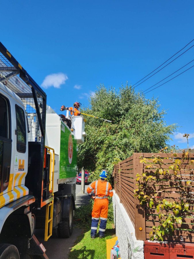 Powerline clearance