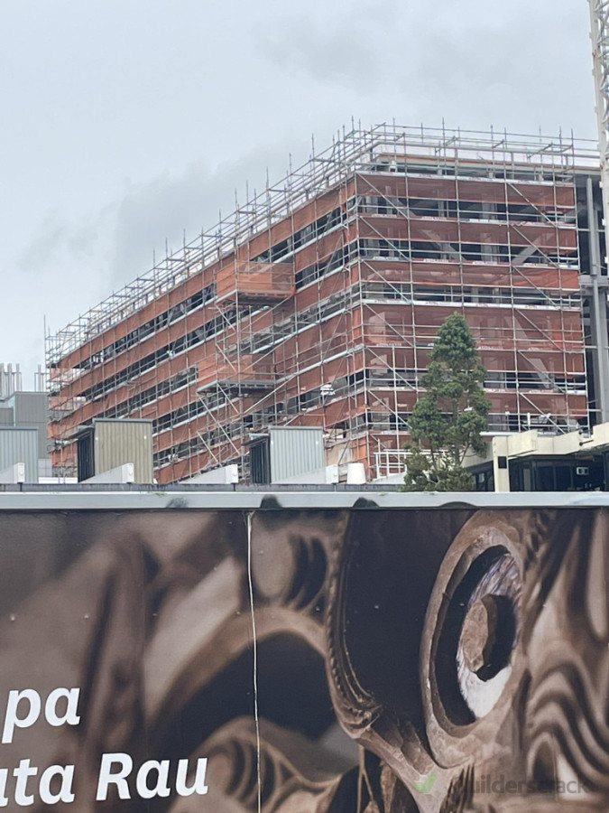 Exterior scaffold with loading bays