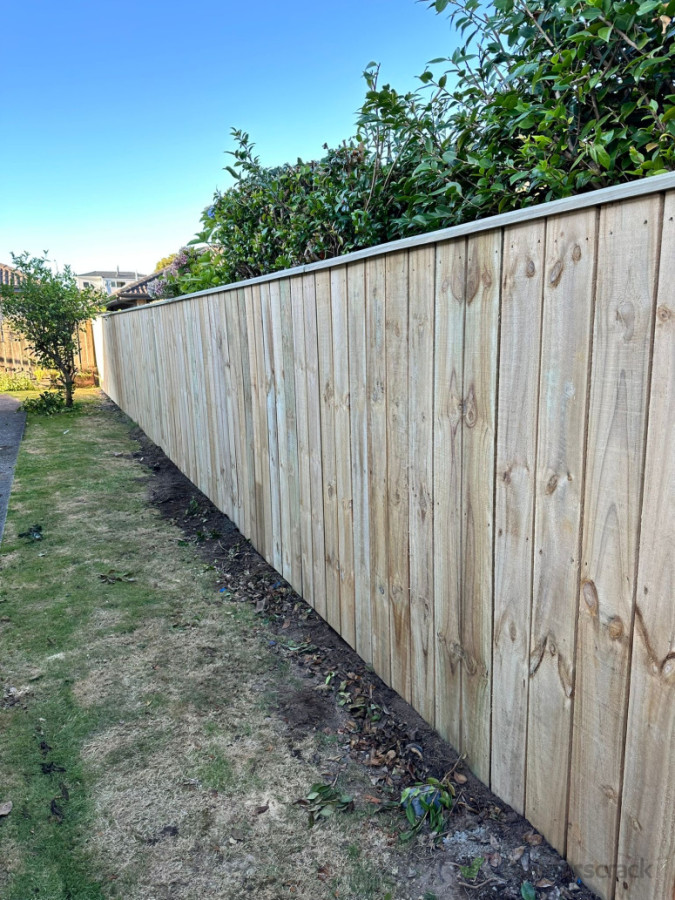 Wooden fence with capping .