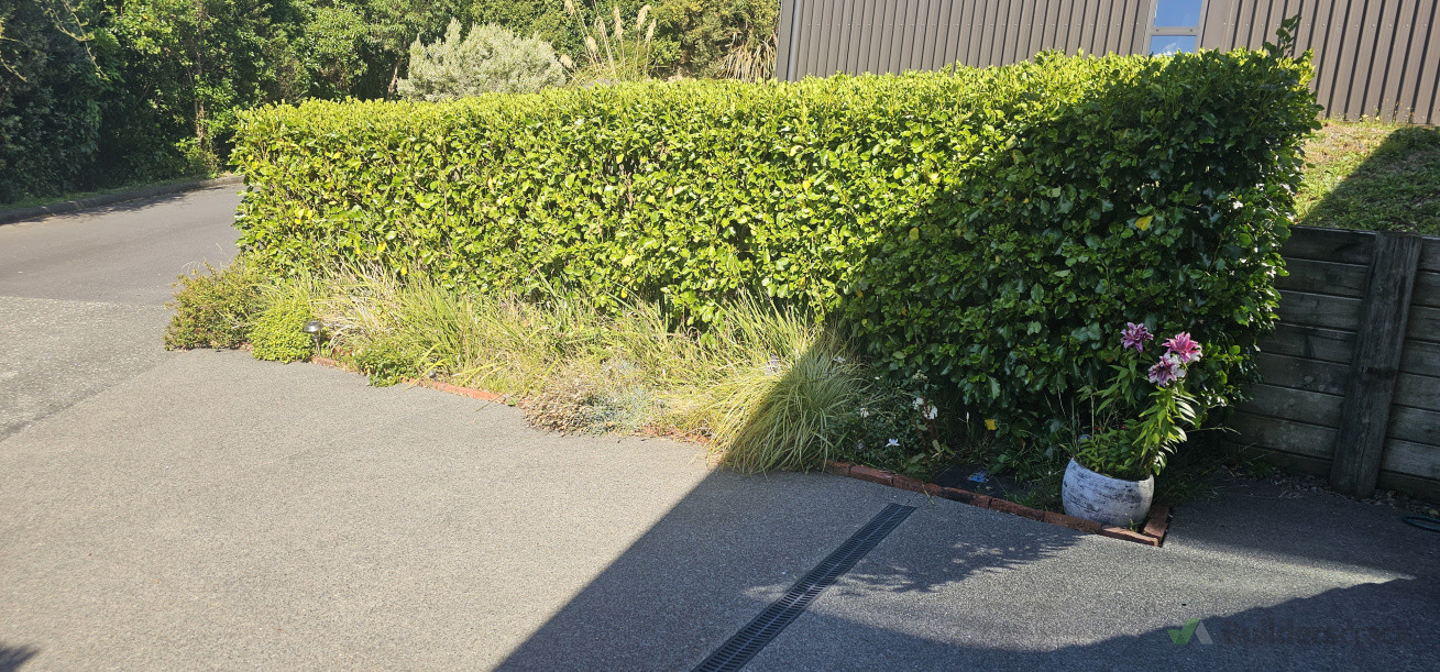 Before - Hedge garden