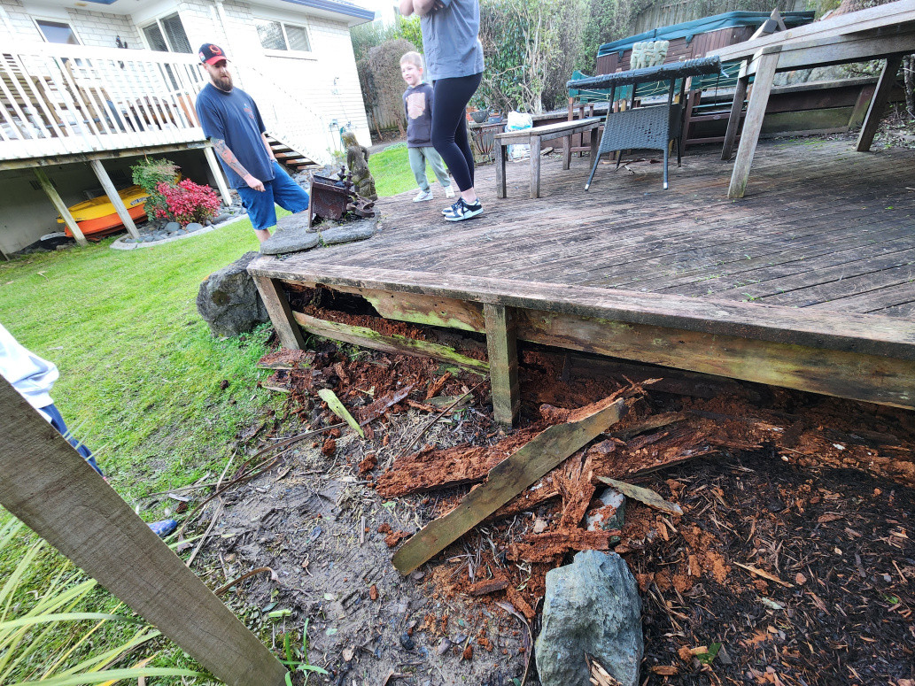 Rotton timber members before reinstatement