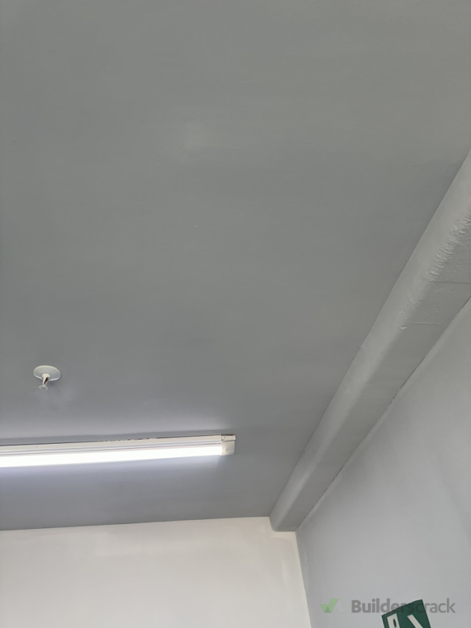 Repainting ceiling