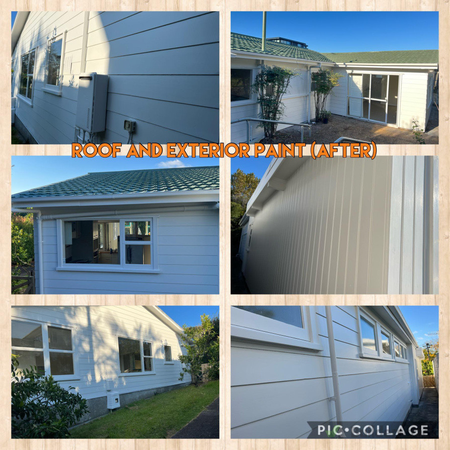 Roof and exterior paint - after