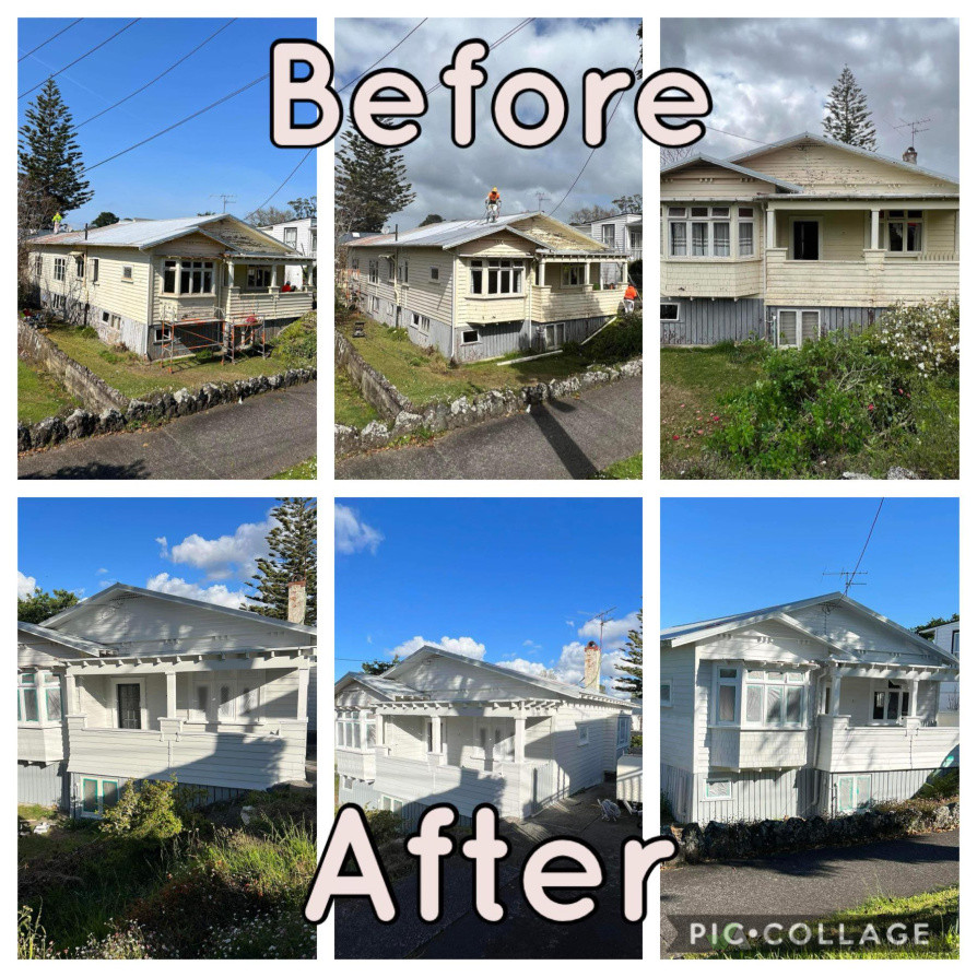 House exterior and roof paint