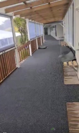 Primary School Doormats Deck