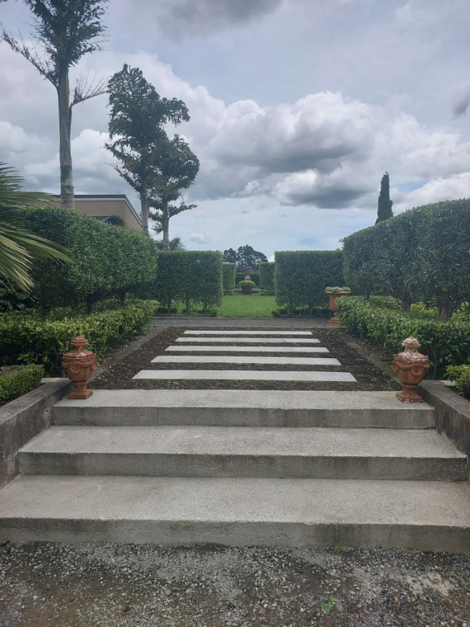 Hedge trimming