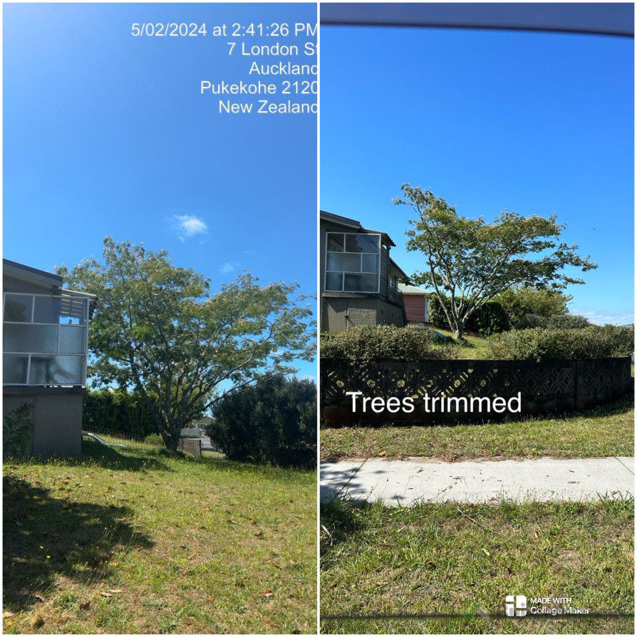 TREES TRIMMING