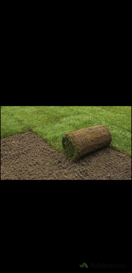 Roll on natural grass