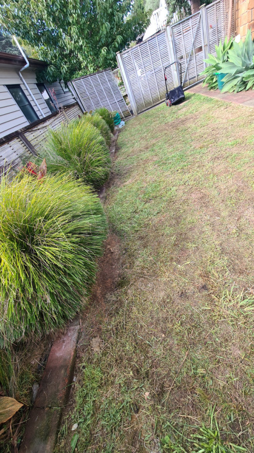 After - lomanda tidied and cut back, lawn mowed and edged