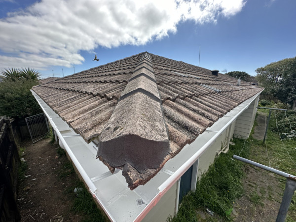 Full house gutter replacement West Auckland