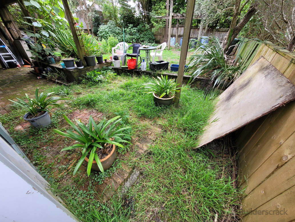 Before - overgrown courtyard
