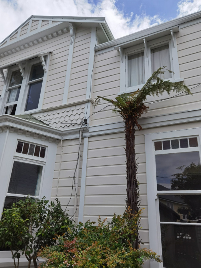 Large house strip and repaint