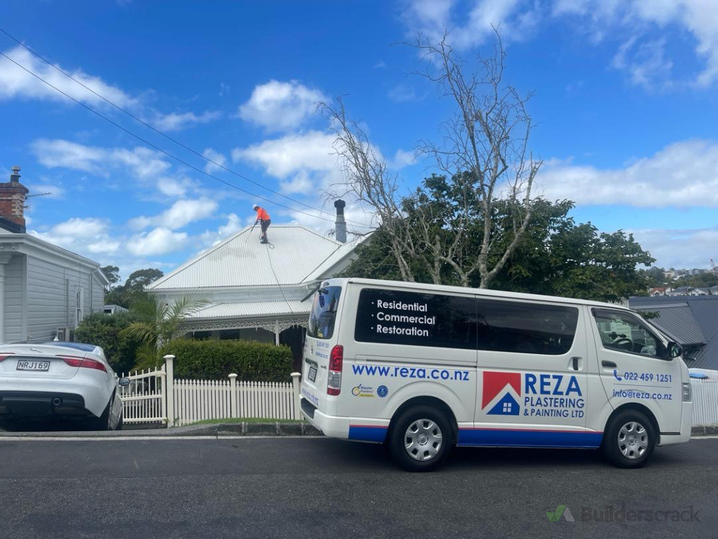 Roof cleaning and painting