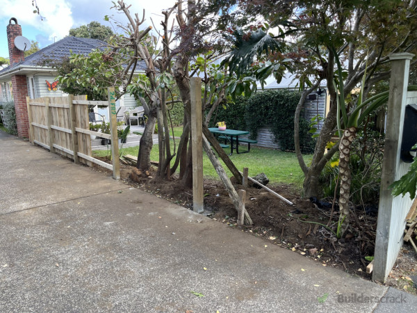 Before/ fence