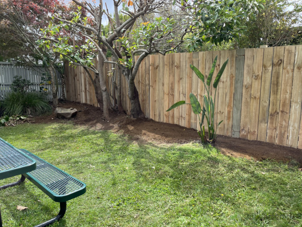 After/ fence/ landscaping