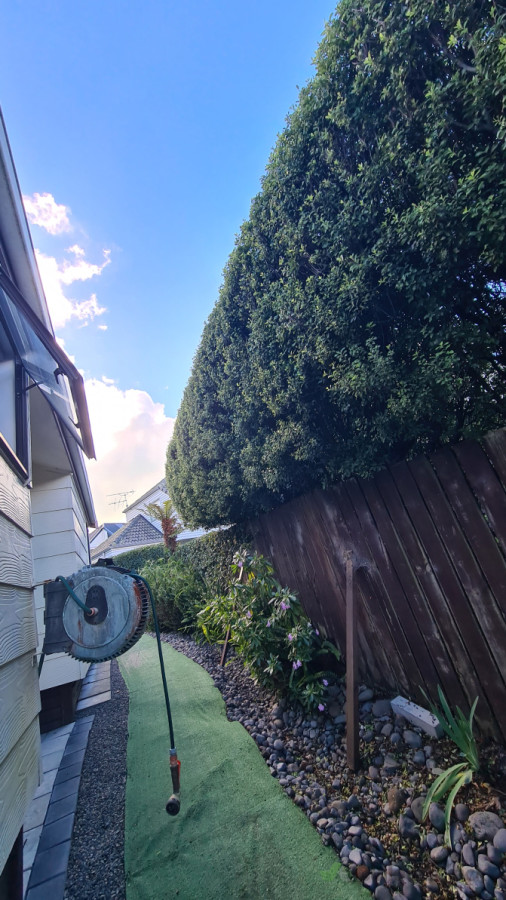 Tall hedges - no problem