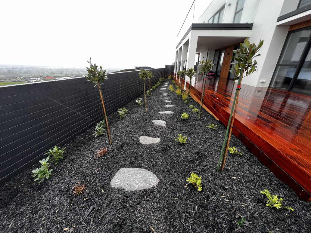 Feature Planting & Walkway
