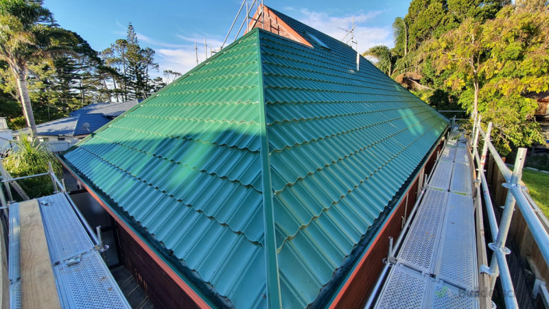 ROOF PAINTING