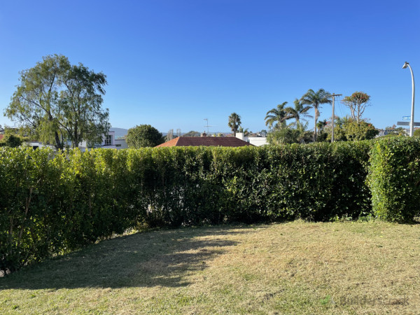 Over grown hedges cut back to healthy point so they can grow even without gaps