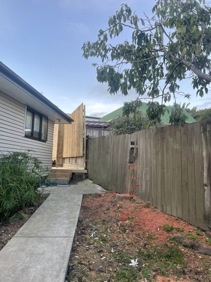 Removal of tricky banksia tree