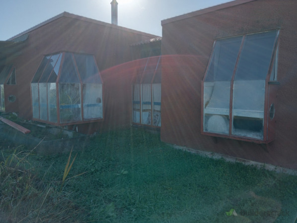 Before - office, living and dining windows