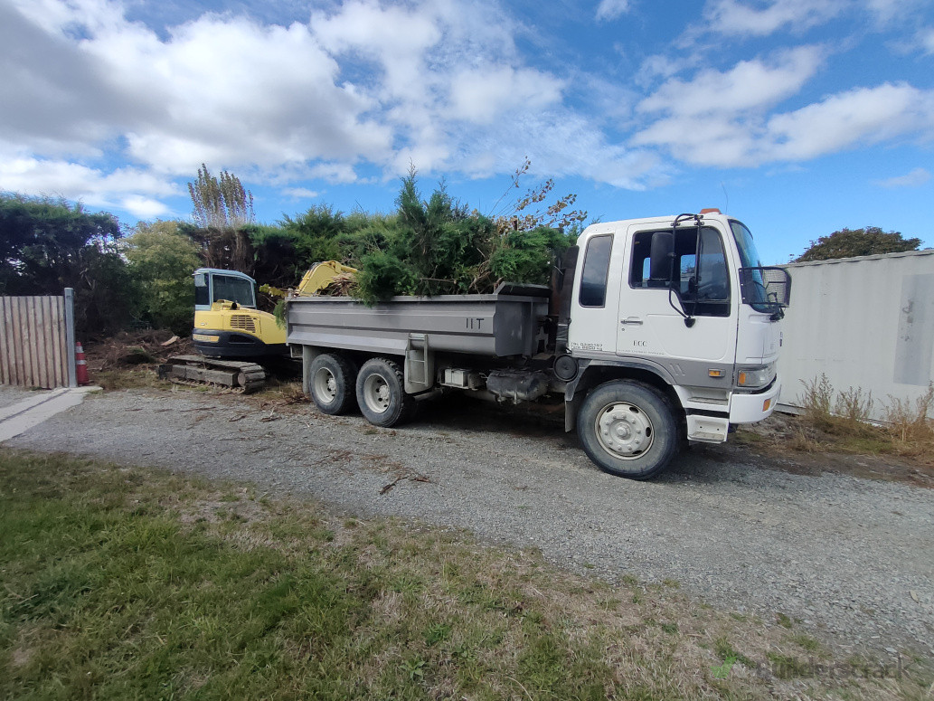 Tree and hedge removal