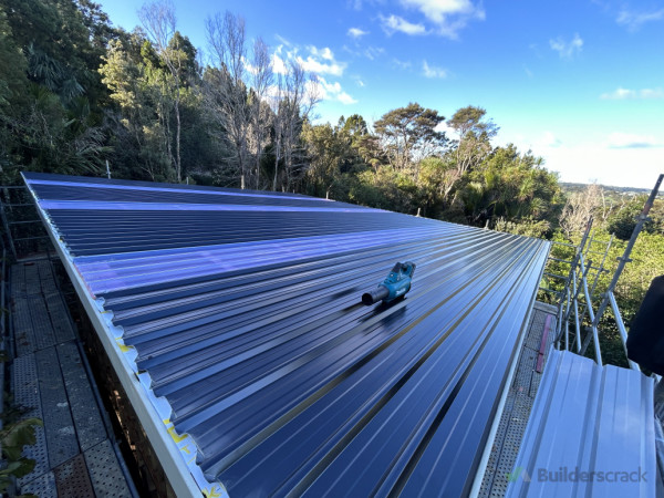 Roof on featuring to clear lite sheets for natural light