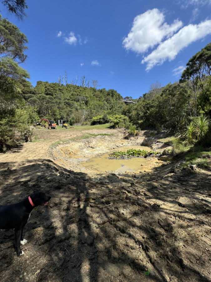 pond cleaned out