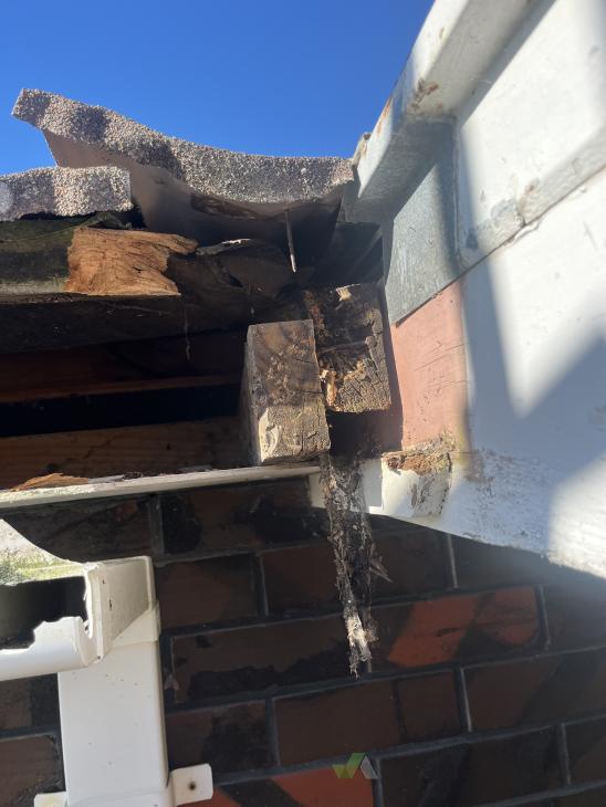 Replacing rotting timber from small roof leak (#980983) | Builderscrack