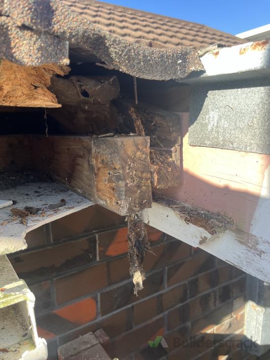 Replacing rotting timber from small roof leak (#980983) | Builderscrack