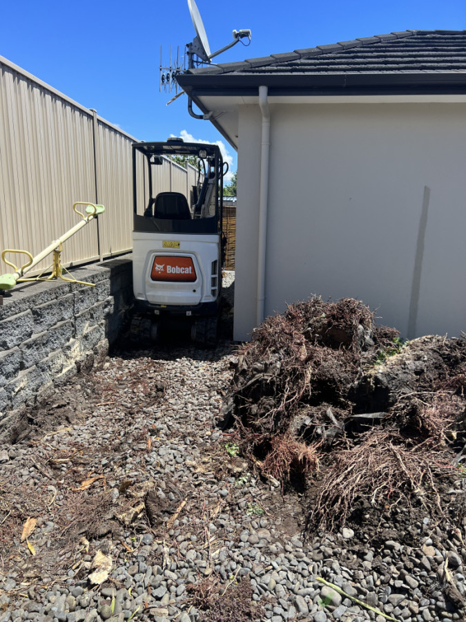 Yucca stump removal and 100mm dig out ready for soil replacement and concrete