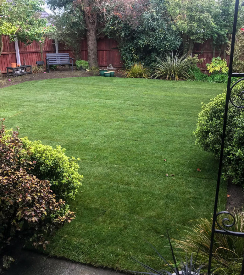 A complete lawn makeover for a very happy customer