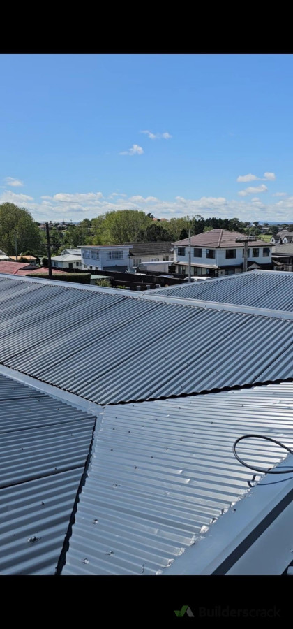 Roof painting