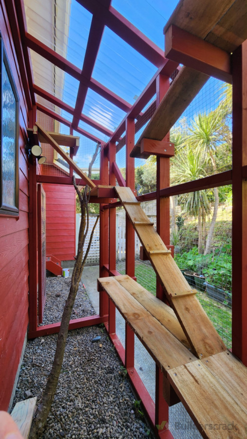 Climbing equipment inside a  catio