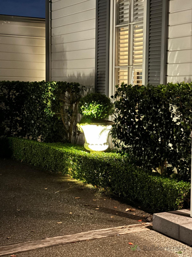 Bonsai Hedge Urn Spotlight