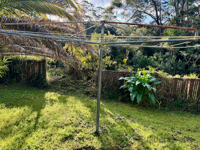 Old fence collapsing in places and vines and vegetation encroaching