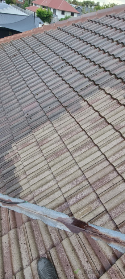 Extremely mossy roof being waterblasted after moss treatment