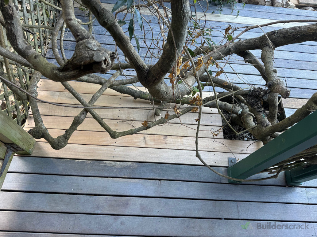 Vitex Deck Repair