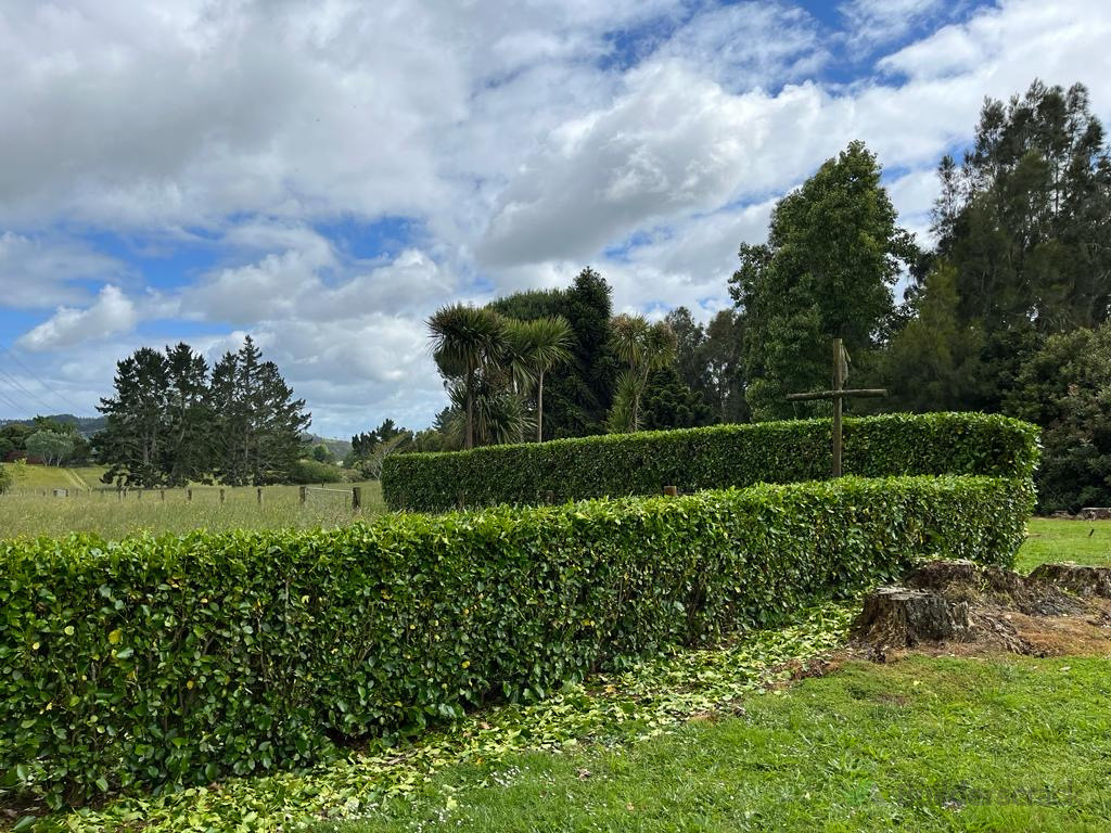 Hedge trimming