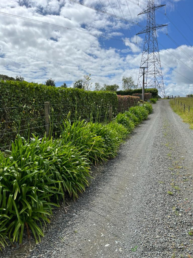 Boundary hedges trimmed